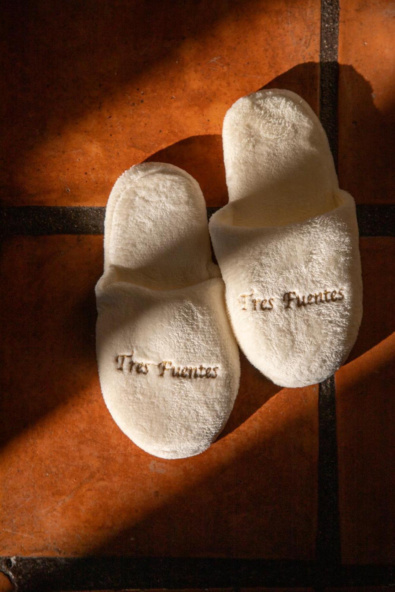 Tres Fuentes Hotel Boutique サン・ミゲル・デ・アジェンデ エクステリア 写真